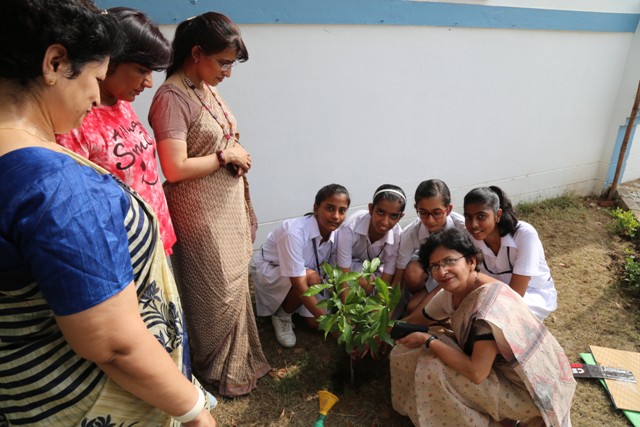 VANMAHOTSAV CELEBRATION